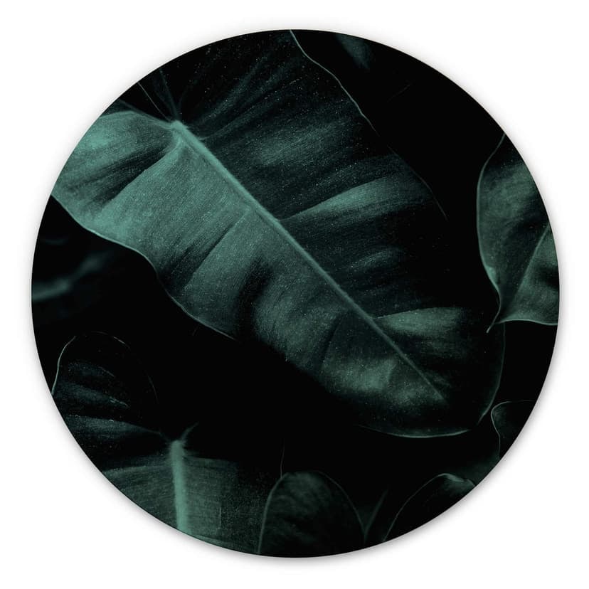 Cuadro de madera Kubistika - Jungla - Redondo