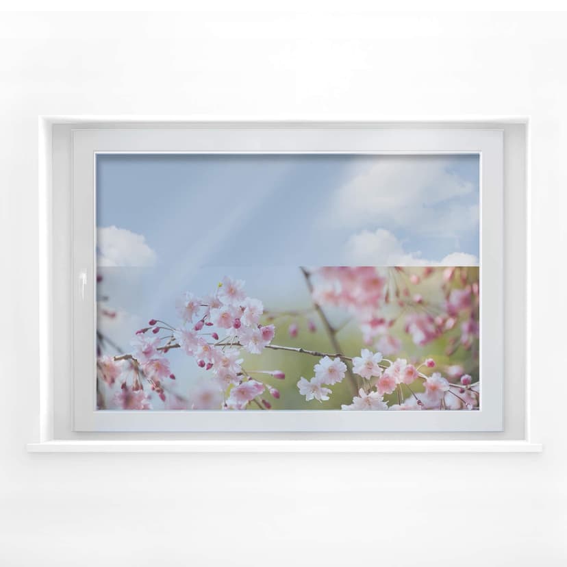 Cuadro de ventana con cerezos en flor