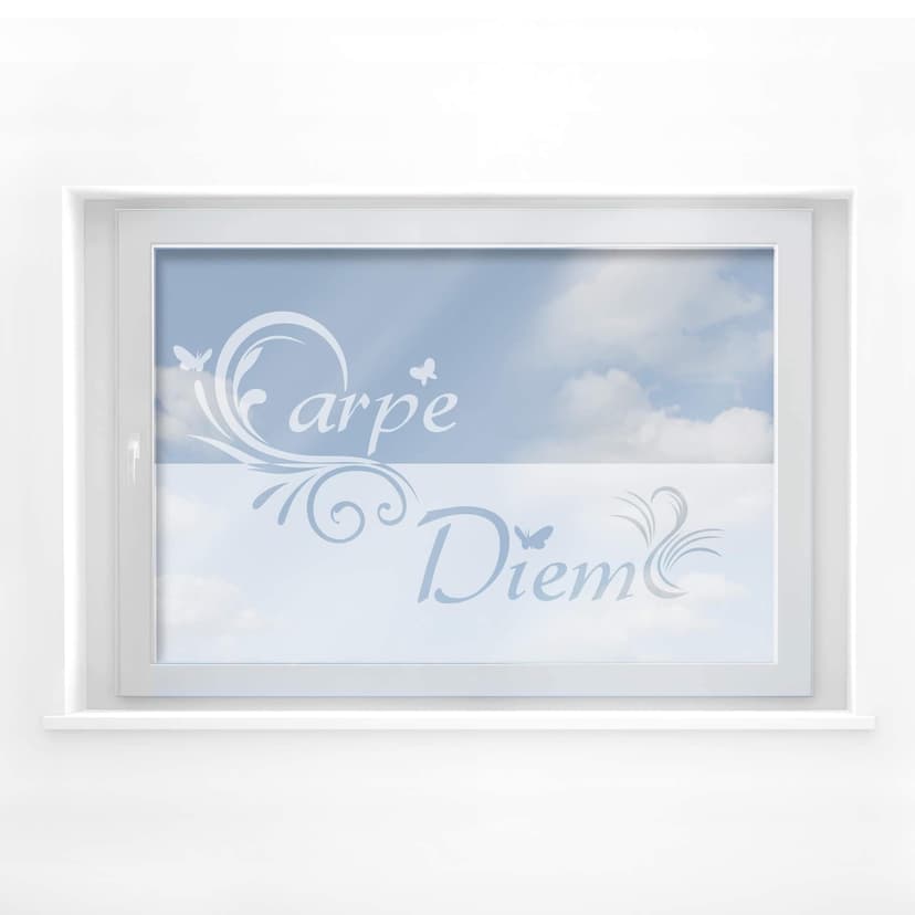 Decoración de ventanas Carpe Diem