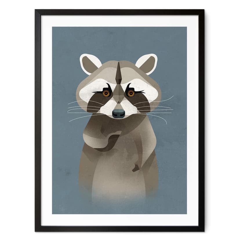 Póster mapache - marrón