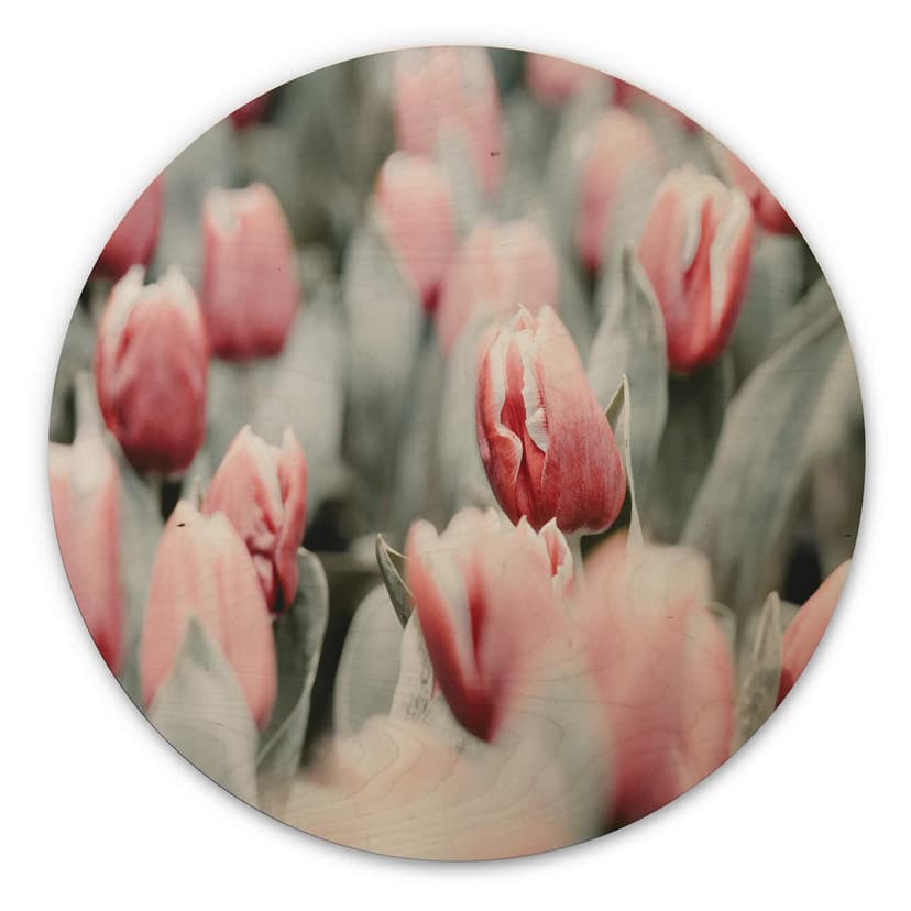 Cuadro de madera Annie - Tulipanes de primavera - Redondo