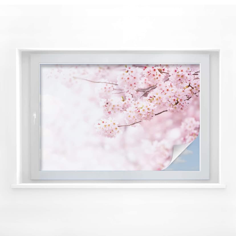 Delicada película de privacidad con flores de cerezo
