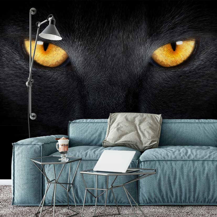 Fotomural ojos de gato - 432x260 cm