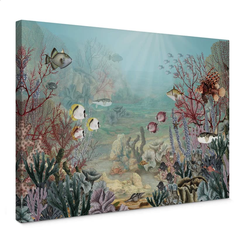Lienzo Sir Edward - Habitante del coral