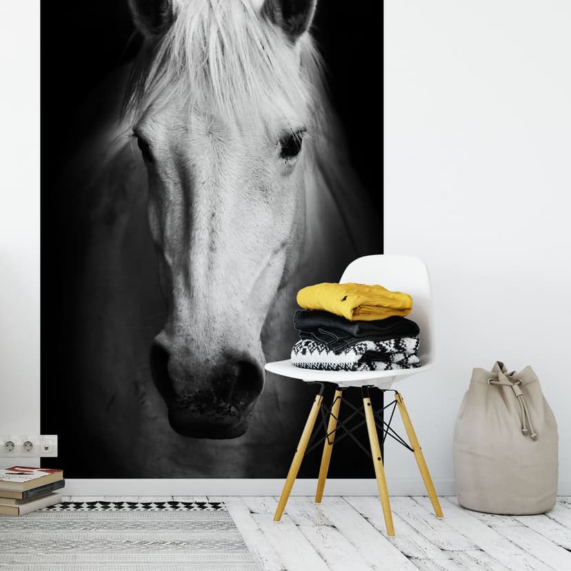 Fotomural Caballo blanco - 144x260 cm