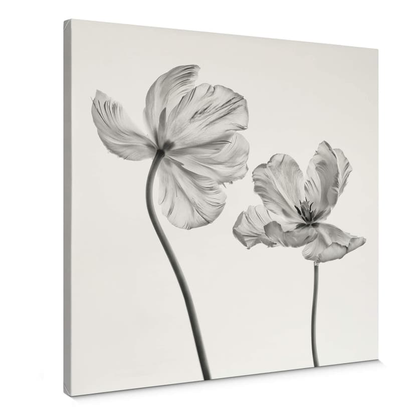 Lienzo Grønkjær - Flor de tulipán