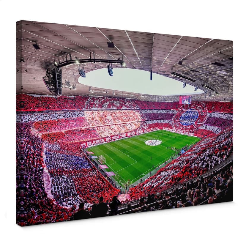 Cuadro lienzo FC Bayern estadio coreo de día