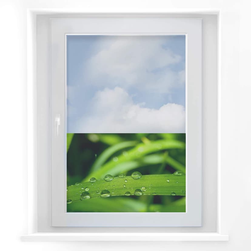 Cuadro de ventana naturaleza 5