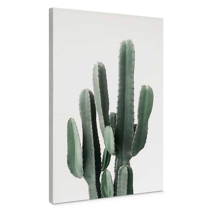 Lienzo planta de cactus - Sisi & Seb