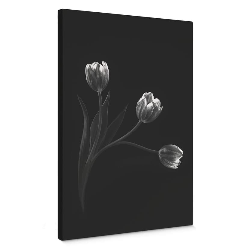 Lienzo Pan - Trío de tulipanes