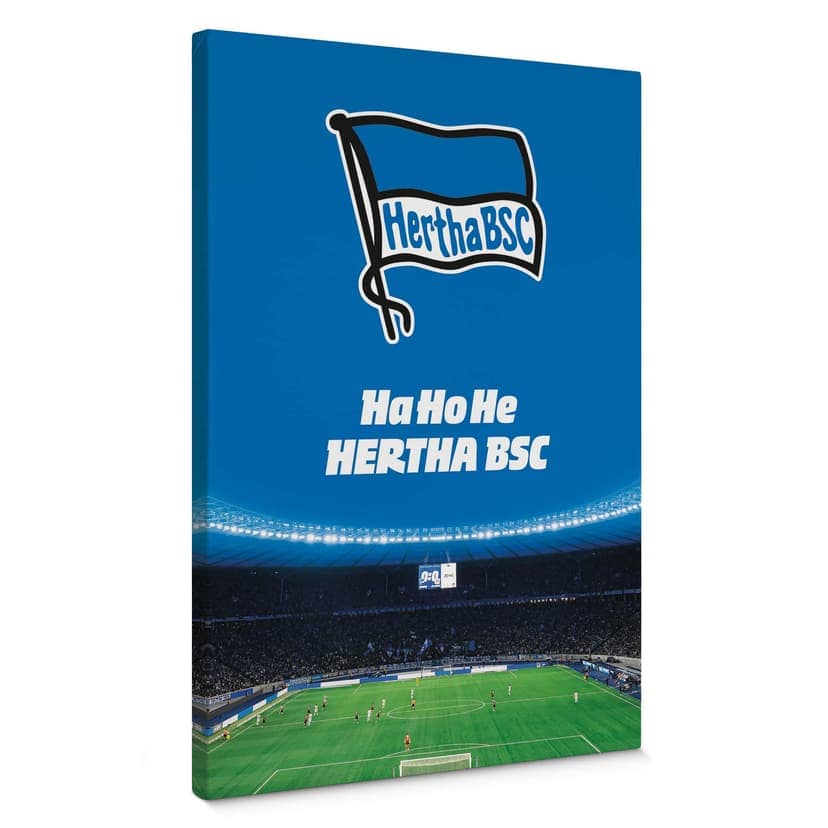 Lienzo Hertha BSC - HaHoHe