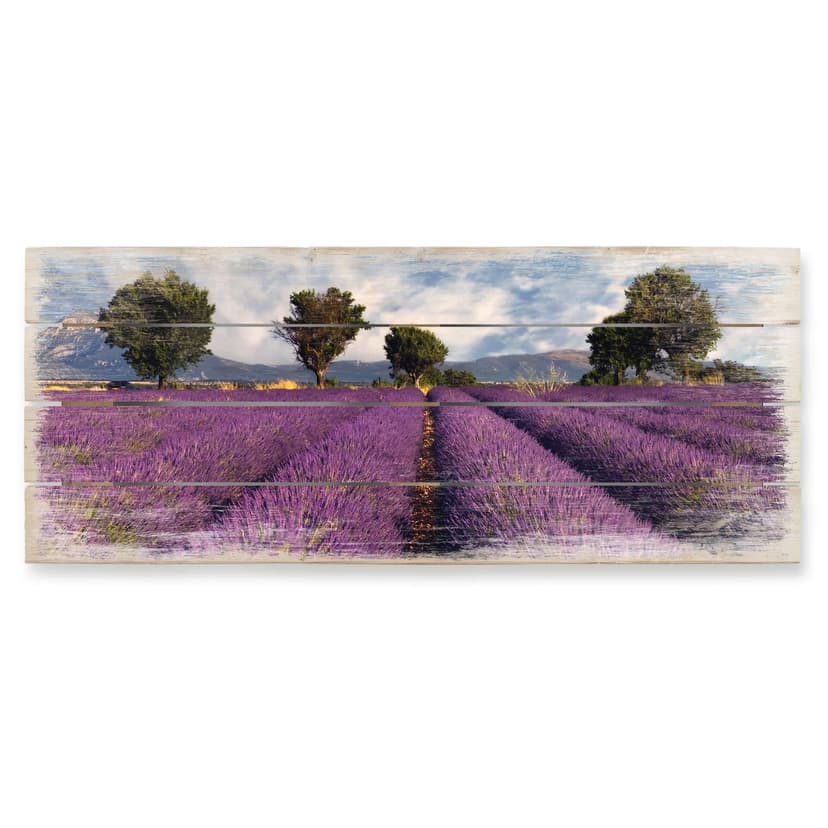 Cuadro de madera campo de lavanda - Panorama