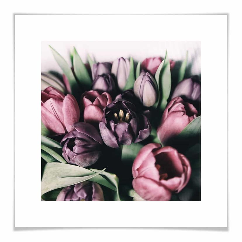Póster Ramo de tulipanes