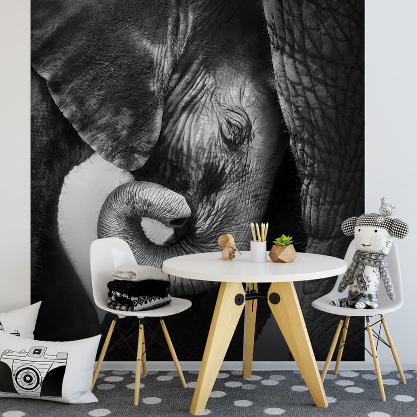 Fotomural - El bebé elefante - 240x260 cm