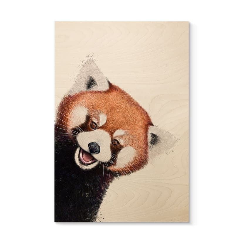 Cuadro de madera Panda rojo - Korenkova