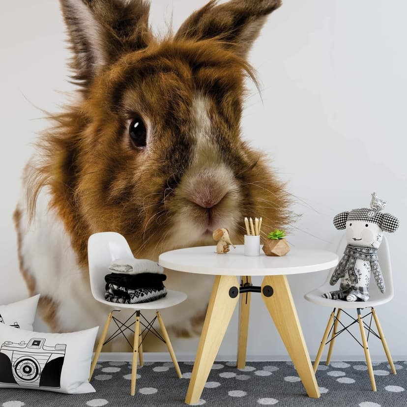 Fotomural de conejos