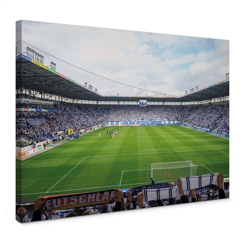 Lienzo 1. FC Magdeburg - Estadio Choreo
