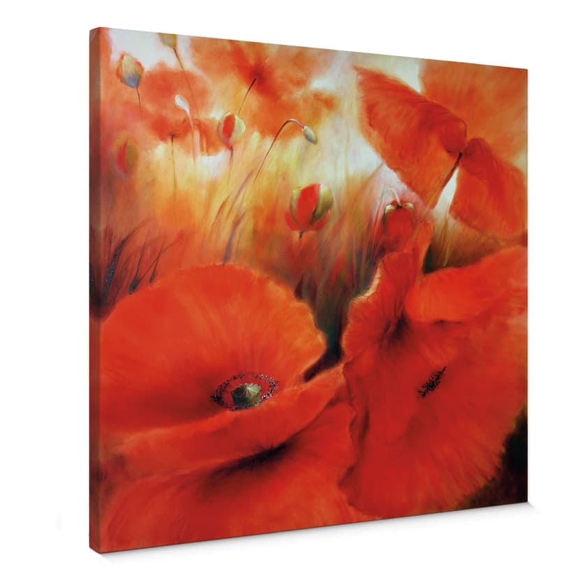 Lienzo Schmucker - Amapola roja