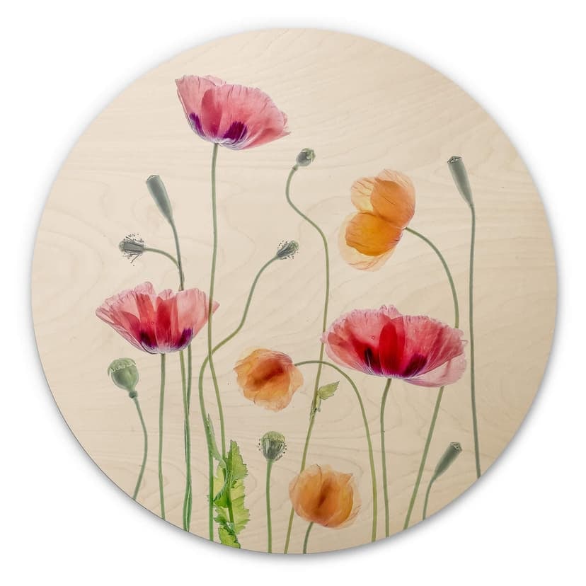 Cuadro de madera flores - Amapolas de colores redondas - Disher