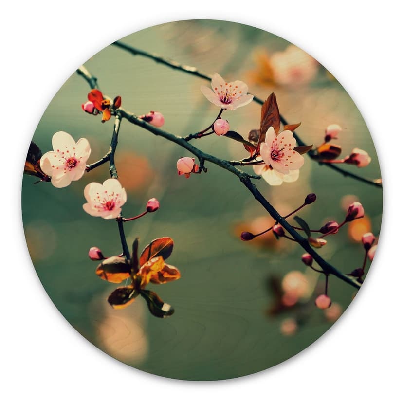 Cuadro de madera despertar de la primavera - redondo