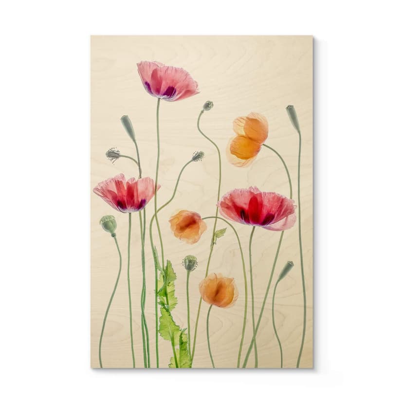 Cuadro de madera Amapolas de colores - Disher