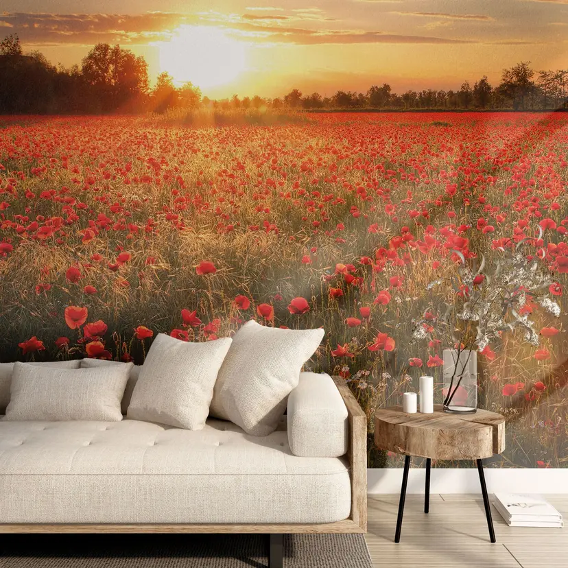 Fotomural de Campo de amapolas al atardecer