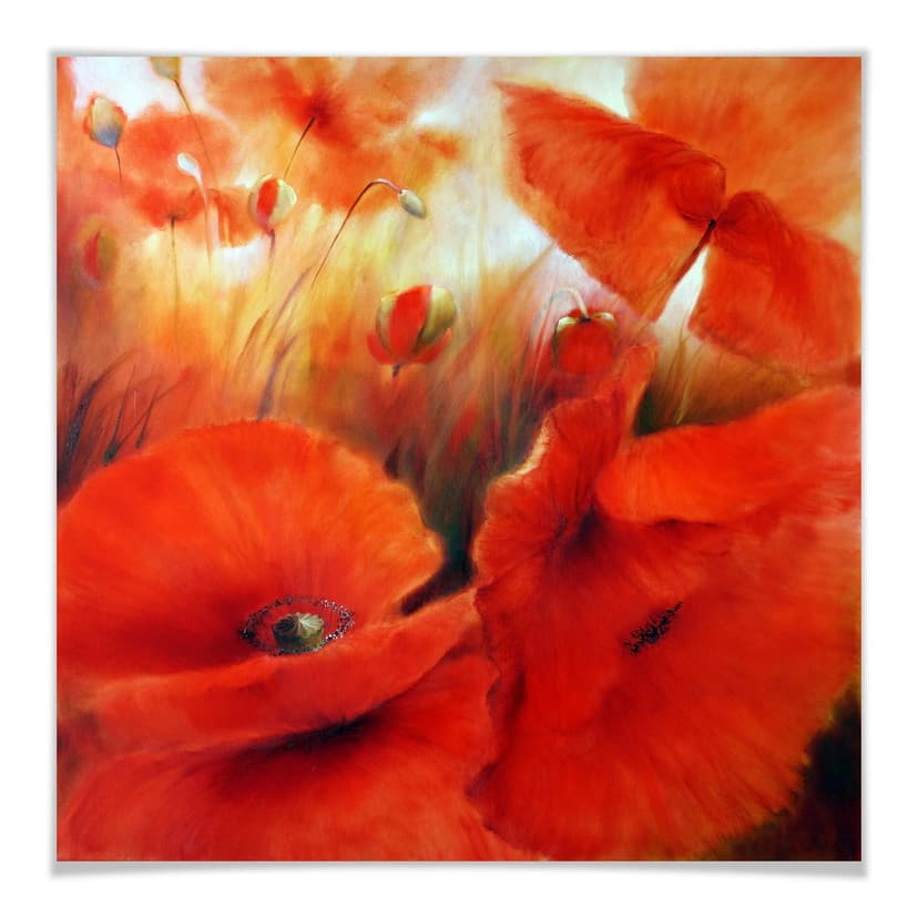 Póster Schmucker - Amapola roja