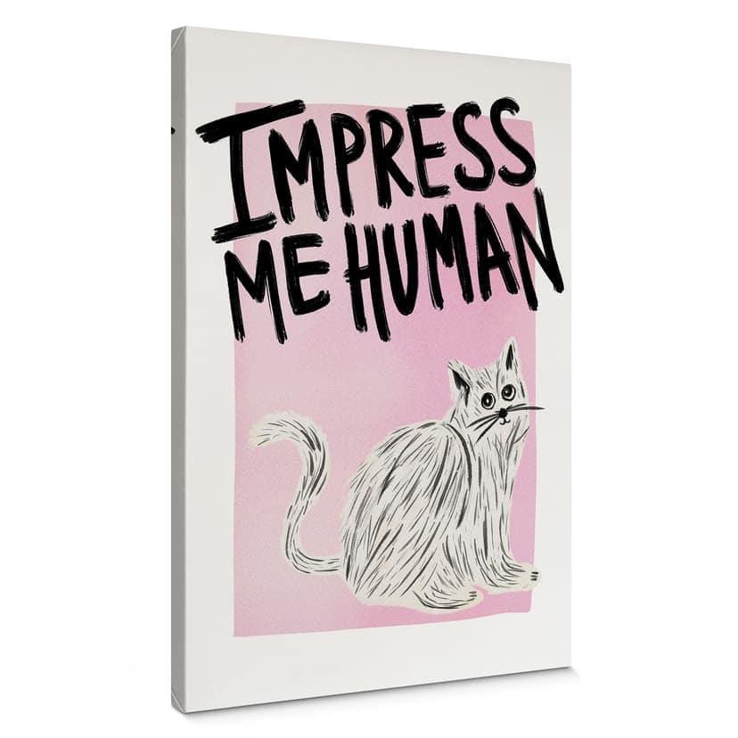 Cuadro lienzo gato: Impress me Human - Bloom