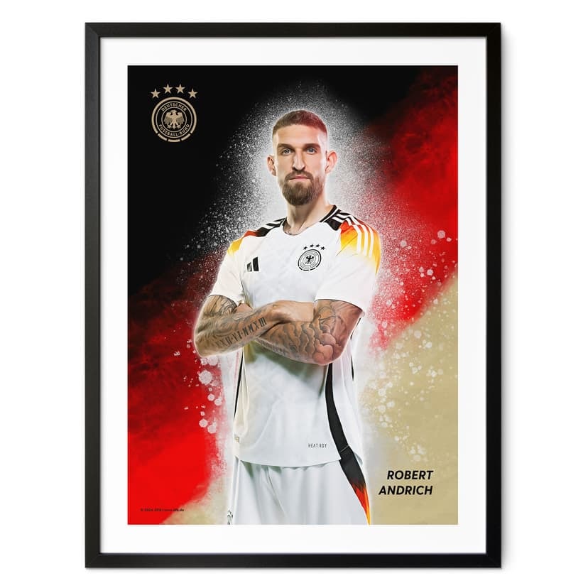 Póster, Cuadro DFB Andrich
