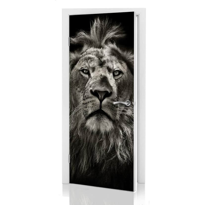 Diseño de la puerta León 91x200 cm