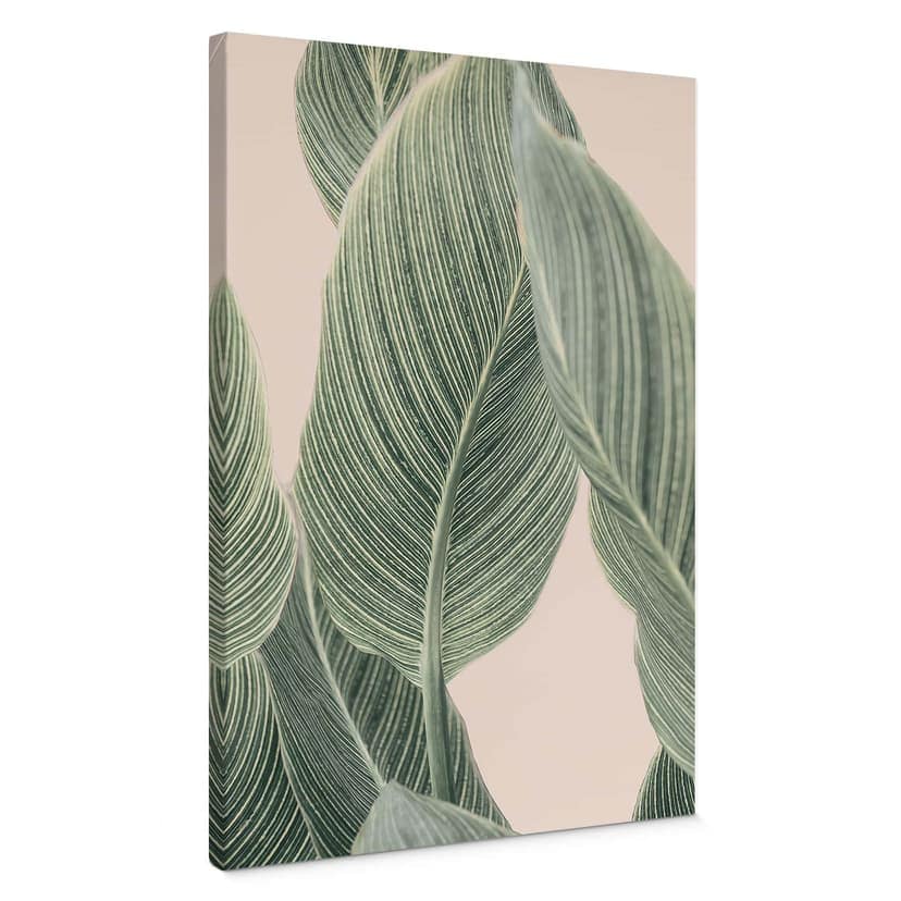 Lienzo Calathea planta - Sisi & Seb