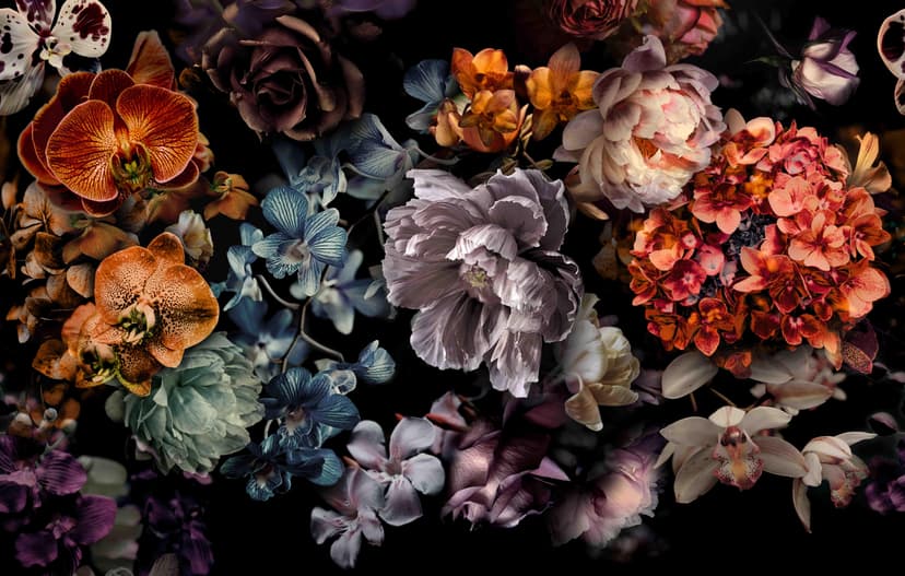Fotomural Dark Floral Naturaleza muerta con orquídeas, hortensias y peonías 2,7 x 4,24 m