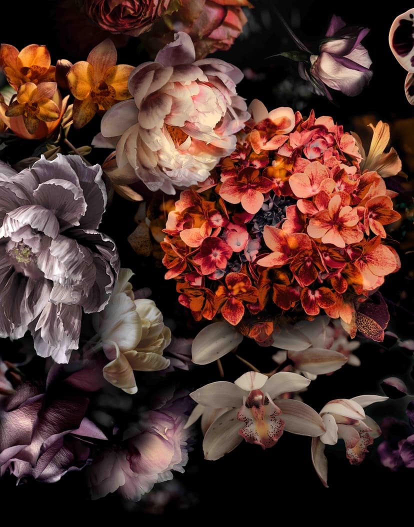 Fotomurale con motivo floral oscuro ramo de flores en negro con orquídeas 2,7 x 2,12 m