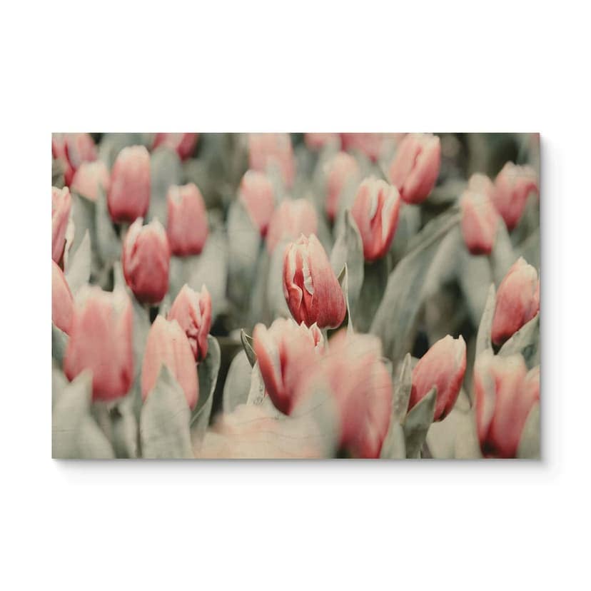 Cuadro de madera Annie - Tulipanes de primavera
