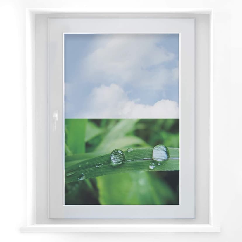 Cuadro ventana naturaleza 4
