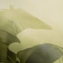 Papel pintado paisaje Big Pictures verde 4,50 x 2,70 m