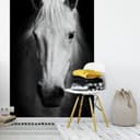 Fotomural Caballo blanco - 144x260 cm