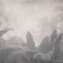 Papel pintado paisaje Big Pictures gris 4,50 x 2,70 m
