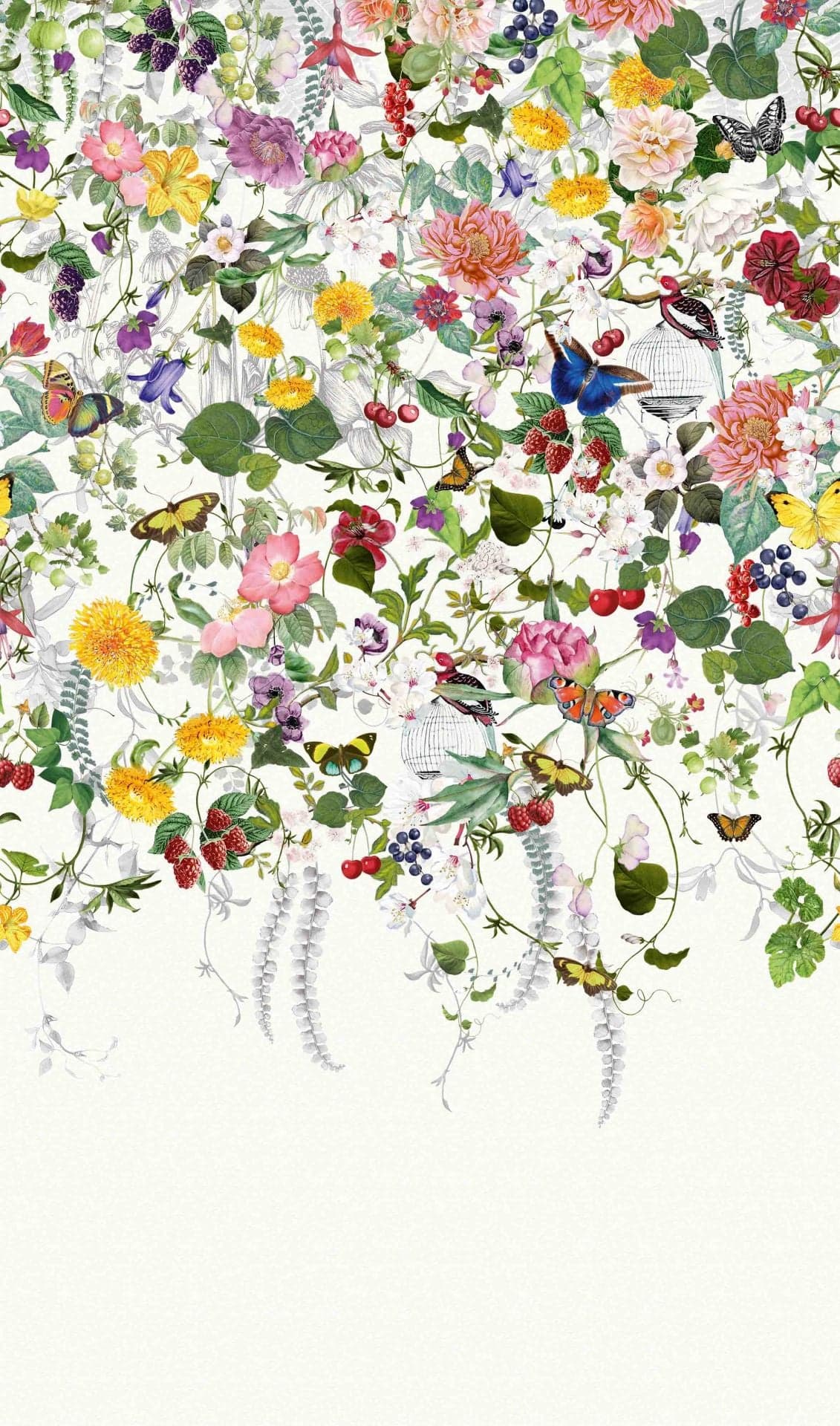Fotomural Colorido prado de flores con mariposas y bayas vintage 2,7 x 1,59 m