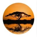 Póster África - Redondo