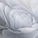 Papel pintado motivo floral Big Pictures gris 2,50 x 2,70 m