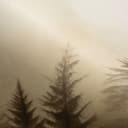 Papel pintado paisaje Big Pictures beige 4,50 x 2,70 m