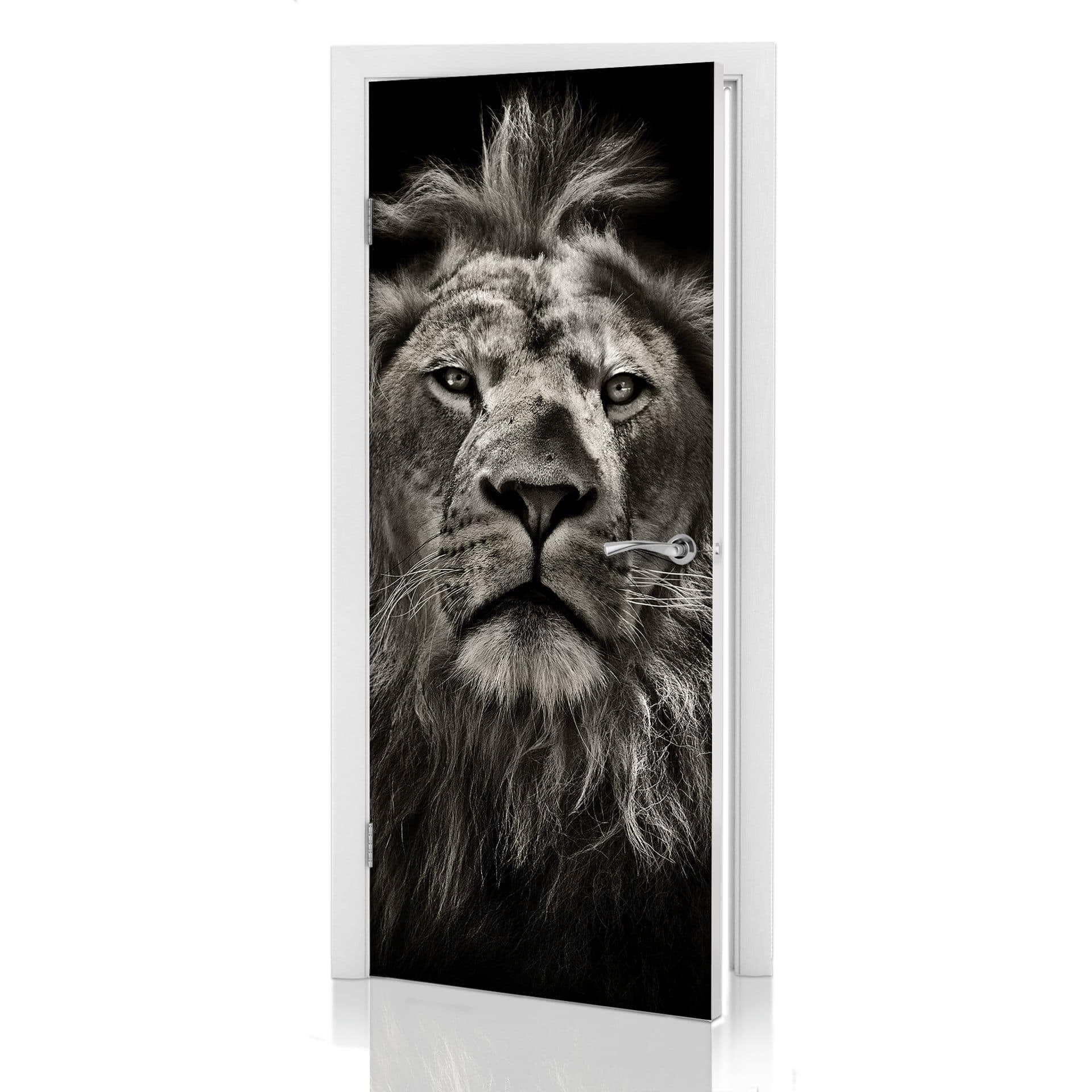 Diseño de la puerta León 91x200 cm