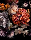 Fotomurale con motivo floral oscuro ramo de flores en negro con orquídeas 2,7 x 2,12 m