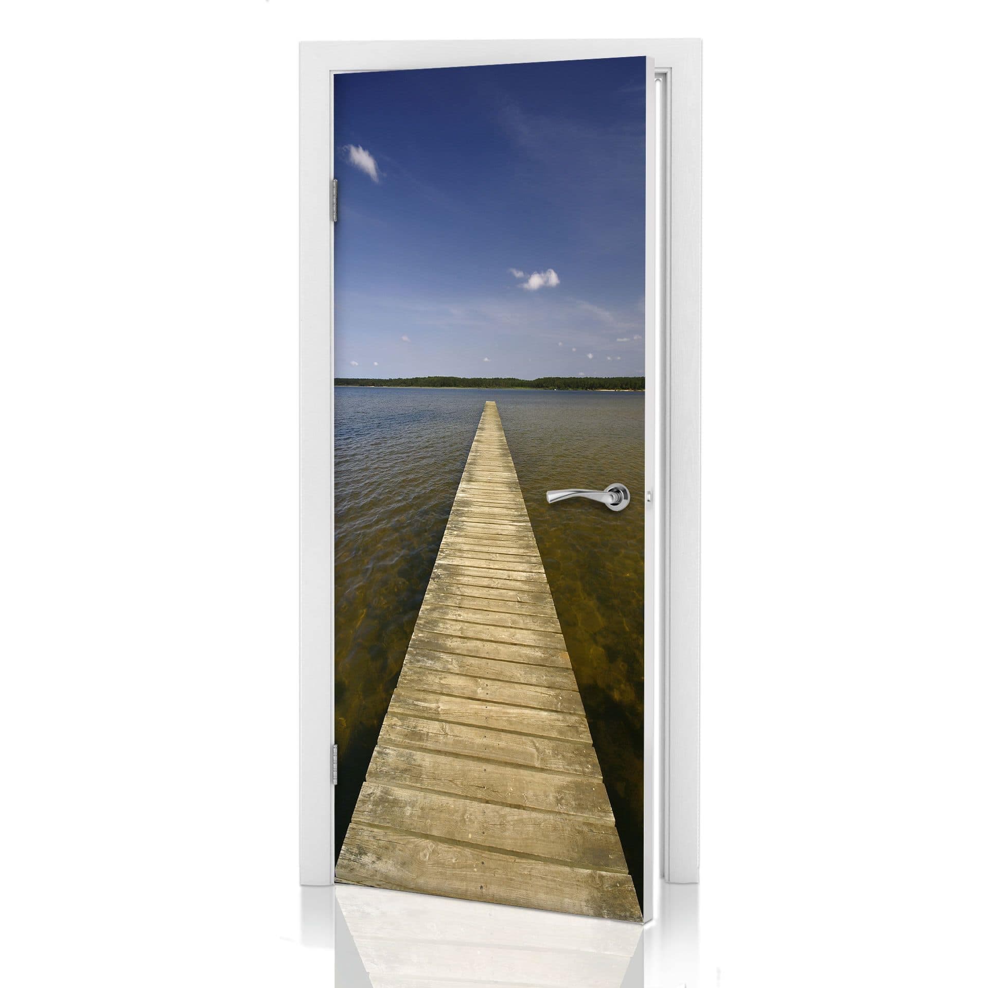 Barra de diseño de la puerta 91x200 cm