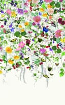 Fotomural con motivo Pradera de flores de colores con mariposas y pájaros 3,4 x 2,12 m