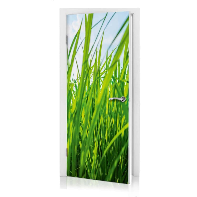 Diseño de puerta Green Meadow