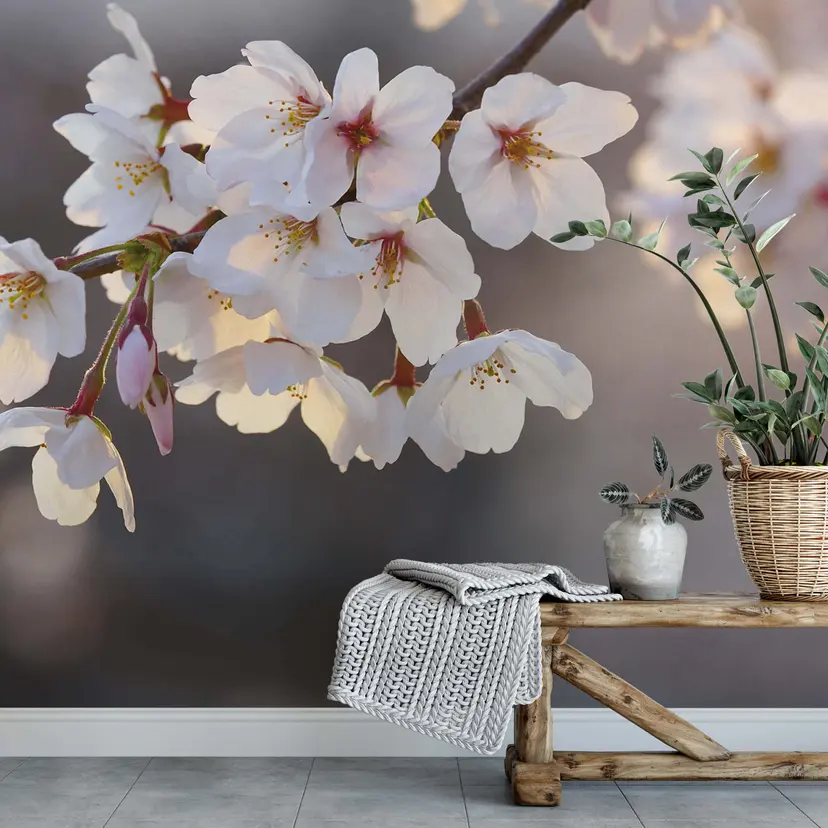 Fotomural de Cerezos en flor