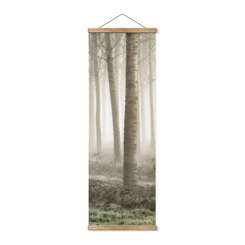 Póster de tela Carozzi - Bosque de cuento de hadas en la bruma matinal - Panorama