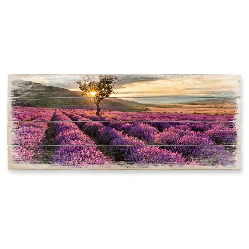 Cuadro de madera Flor de lavanda en Provenza 01 - Panorama